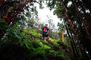 BIB: 
                            <button type="button" onclick="openModal(26204936)" class="btn btn-primary btn-sm float-right btn-popup" data-toggle="modal" data-target=".modal-high-quality">
                        <i class="fas fa-shopping-cart"></i> Add to Cart
                    </button>
                                            <button type="button" onclick="isThisMe(26204936, true)" class="btn btn-success btn-sm float-right btn-popup btn-isme hidden" data-toggle="tooltip" data-placement="bottom" title="นี่คือรูปของคุณใช่ไหม คลิกที่นี่เพื่อเอาเข้าอัลบั้ม">
                        <i class="fas fa-plus"></i> Add to album
                    </button>
                    <button type="button" onclick="isThisMe(26204936, false)" class="btn btn-warning btn-sm float-right btn-popup btn-isnotme hidden">
                        <i class="fas fa-ban"></i> Remove from album
                    </button>